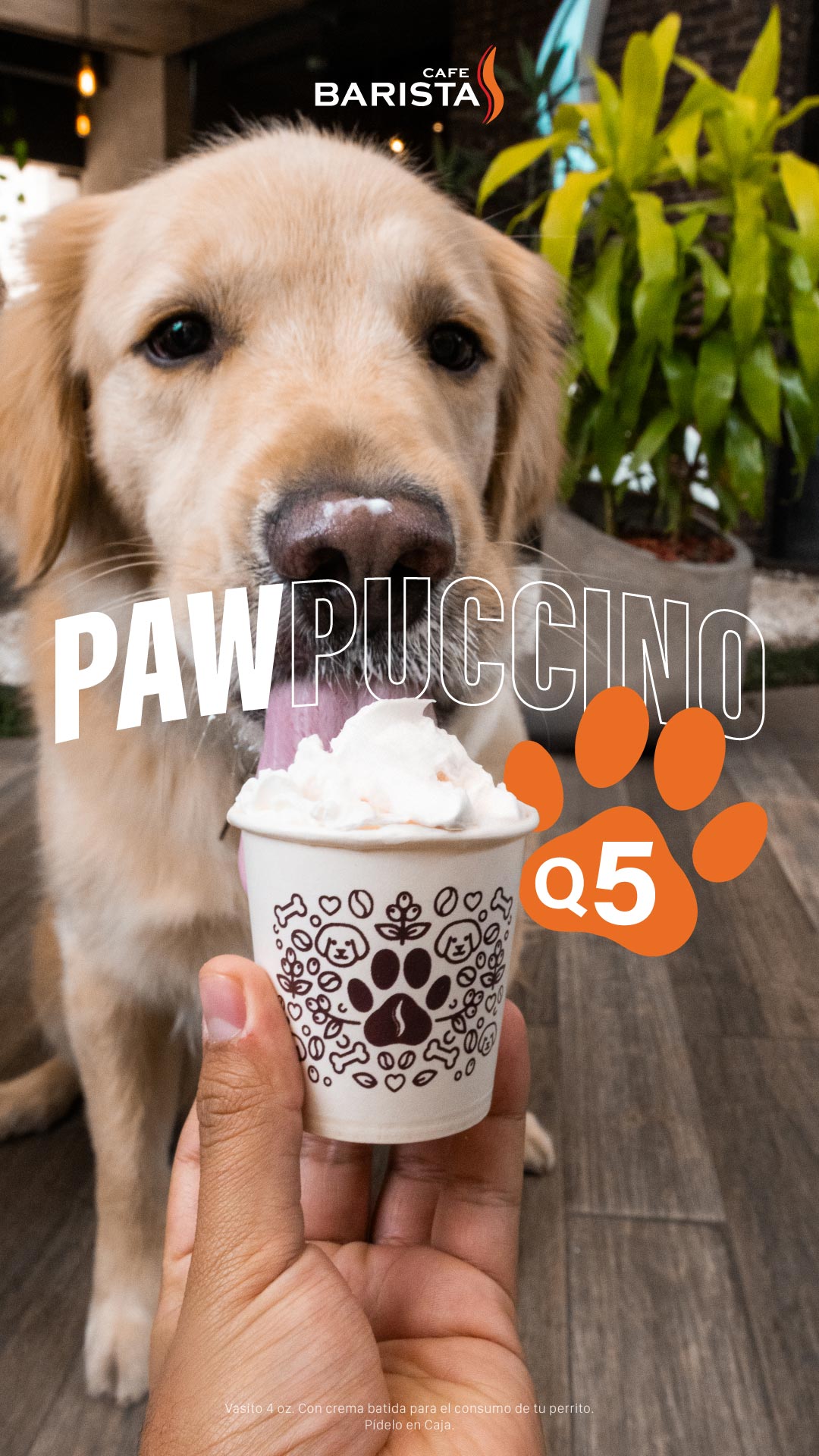 Pawpuccino